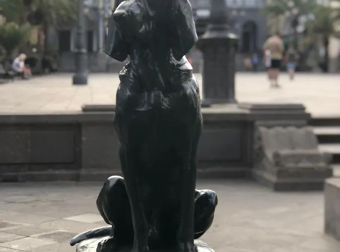 110sm Square Meters * לאס פאלמס דה גראן קנאריה